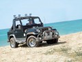 Technische Daten von Fahrzeugen und Kraftstoffverbrauch Asia Rocsta