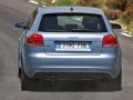 Technical specifications and characteristics for【Audi A3 (8P)】 - picture 10