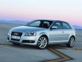 Technical specifications and characteristics for【Audi A3 (8P)】 - picture 13