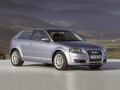 Technical specifications and characteristics for【Audi A3 (8P)】 - picture 4