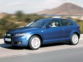Technical specifications and characteristics for【Audi A3 (8P)】 - picture 29