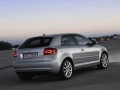 Technical specifications and characteristics for【Audi A3 (8P)】 - picture 17