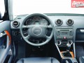 Technical specifications and characteristics for【Audi A3 (8P)】 - picture 14