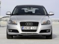 Технически характеристики за Audi A3 Sportback (8P) - picture 3