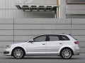 Технически характеристики за Audi A3 Sportback (8P) - picture 13