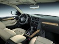 Technical specifications and characteristics for【Audi Q5 (8R) Restyling】 - picture 7