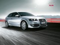 S3 (8P)