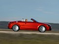 Technical specifications and characteristics for【Audi TT Roadster (PQ35,36)】 - picture 2