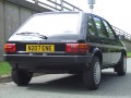 Τεχνικά χαρακτηριστικά για Austin Maestro (XC) - picture 6