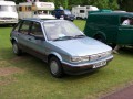 Τεχνικά χαρακτηριστικά για Austin Maestro (XC) - picture 3