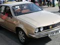 Specificații tehnice pentru Austin Princess 2 - picture 4