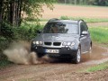 X3 (E83)