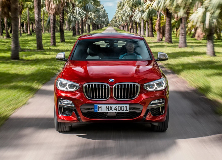 Technische Daten und Spezifikationen für BMW X4 II (G02) - picture 2