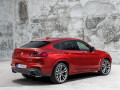 Technische Daten und Spezifikationen für BMW X4 II (G02) - picture 5