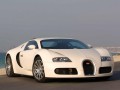 Teknik özellikler ve yakıt tüketimi Bugatti Veyron