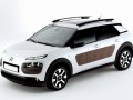 C4 Cactus
