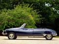 Technische Daten und Spezifikationen für Citroen DS Cabriolet - picture 5
