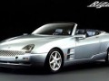 Technical specifications of the car and fuel economy of De Tomaso Bigua
