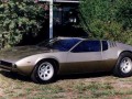 Technical specifications of the car and fuel economy of De Tomaso Mangusta