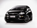Punto Evo