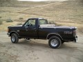 F-150 (1988-2006)