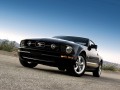 Mustang V