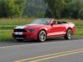 Technische Daten und Spezifikationen für Ford Shelby GT 500 Cabrio - picture 1
