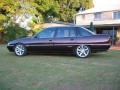 Технические характеристики о Holden Statesmann (VS) - picture 3