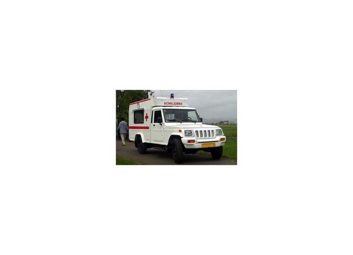 Caratteristiche tecniche di Mahindra Ambulance - picture 1