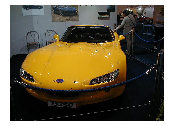 Technische Daten und Spezifikationen für Marcos TS 250 - picture 1