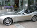 Technische Daten und Spezifikationen für Marcos TS 250 - picture 3