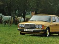 Caractéristiques techniques de Mercedes-Benz 200 (W123) - picture 3