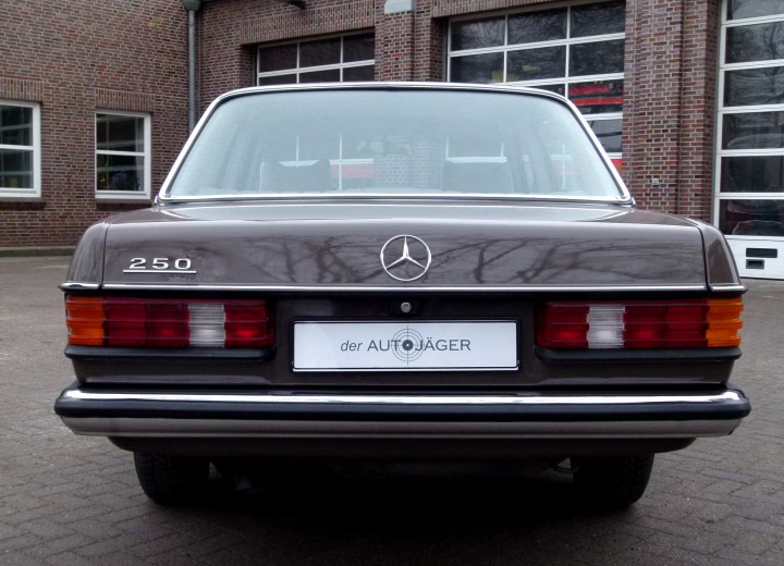 Technische Daten und Spezifikationen für Mercedes-Benz 250 (W123) - picture 3