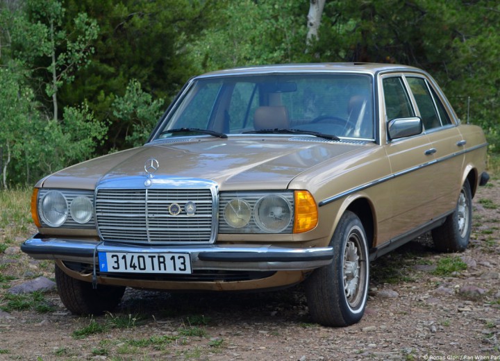 Technische Daten und Spezifikationen für Mercedes-Benz 300 (W123) - picture 1