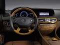 Technical specifications and characteristics for【Mercedes-Benz CL-klasse III (C216)】 - picture 13