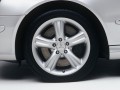 Technical specifications and characteristics for【Mercedes-Benz CLK-klasse II (W209) Restyling】 - picture 9
