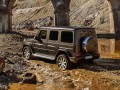 Technical specifications and characteristics for【Mercedes-Benz G-Klasse (W464)】 - picture 3