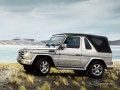 Technical specifications and characteristics for【Mercedes-Benz G-Klasse cabriolet (W463)】 - picture 5