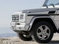 Технически характеристики за Mercedes-Benz G-Klasse (w463) Restyling II - picture 12