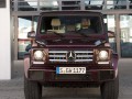 Technische Daten und Spezifikationen für Mercedes-Benz G-Klasse (w463) Restyling III - picture 2