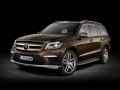 Especificaciones técnicas del coche y ahorro de combustible de Mercedes-Benz GL-klasse