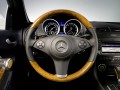 Technische Daten und Spezifikationen für Mercedes-Benz SLK-klasse II (R171) Restyling - picture 12