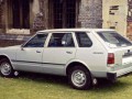 Cherry Traveller (VN10)