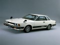 Silvia (S110)