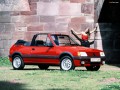 205 I Cabrio (741B,20D)