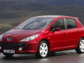 Technical specifications and characteristics for【Peugeot 307】 - picture 2
