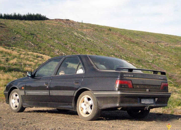Технически характеристики за Peugeot 405 II (4B) - picture 3