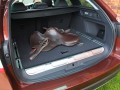 Technical specifications and characteristics for【Peugeot 508 RXH】 - picture 5