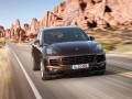 Caractéristiques techniques de Porsche Cayenne (958) Facelift - picture 2