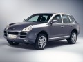 Cayenne (955)
